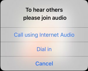 Call using Internet Audio
